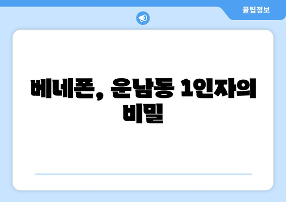 베네폰, 운남동 1인자의 비밀