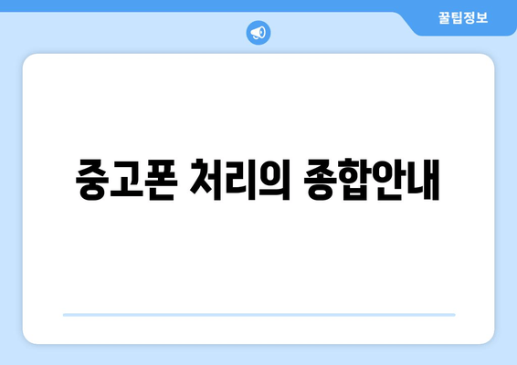 중고폰 처리의 종합안내