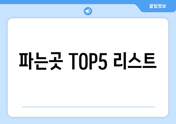 파는곳 TOP5 리스트