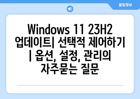 Windows 11 23H2 업데이트| 선택적 제어하기 | 옵션, 설정, 관리