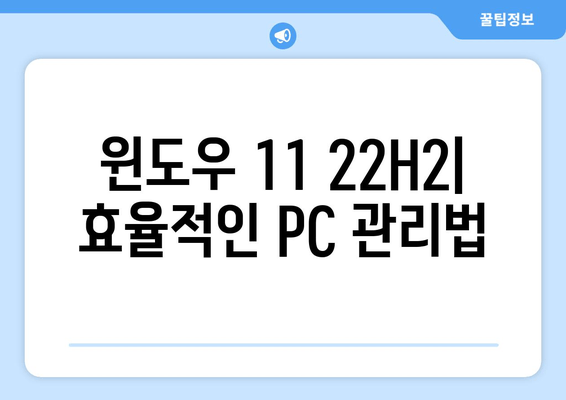 Windows 11 22H2 Pro/Home 최적화 버전(빌드 22621.3593) 성능 향상 가이드 | 속도, 안정성, 사용자 지정 |