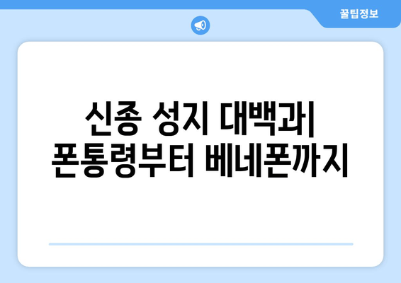 신종 성지 대백과| 폰통령부터 베네폰까지