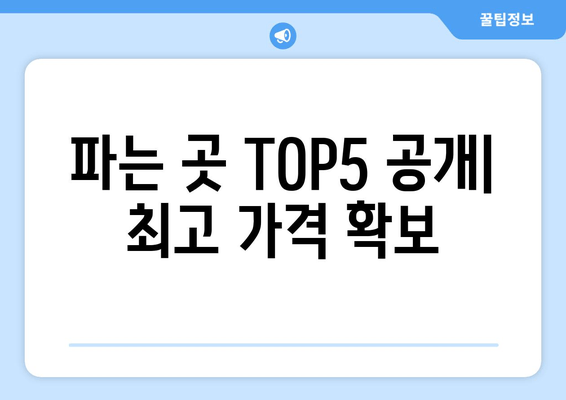 파는 곳 TOP5 공개| 최고 가격 확보