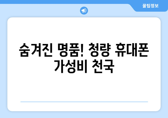 숨겨진 명품! 청량 휴대폰 가성비 천국