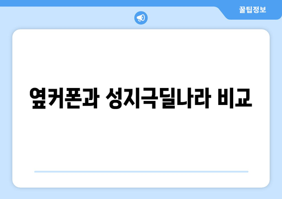 옆커폰과 성지극딜나라 비교