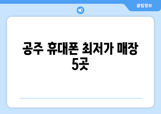 공주 휴대폰 최저가 매장 5곳