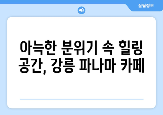 강릉 파나마 카페| 편안한 분위기 속 맛있는 커피 한 잔 | 강릉 카페 추천, 분위기 좋은 카페, 커피 맛집