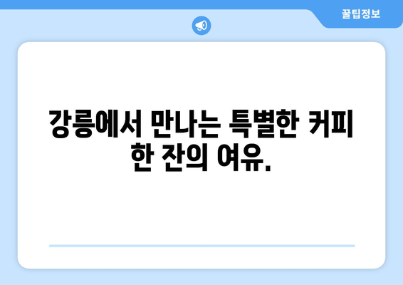 강릉 파나마 커피 맛집, 편안한 분위기의 카페 | 휴식과 커피 향이 가득한 공간