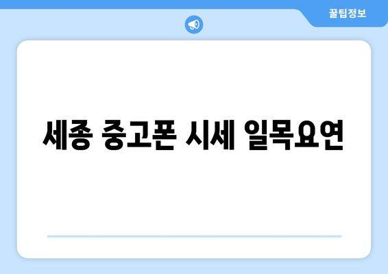 세종 중고폰 시세 일목요연