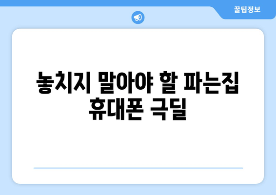 놓치지 말아야 할 파는집 휴대폰 극딜