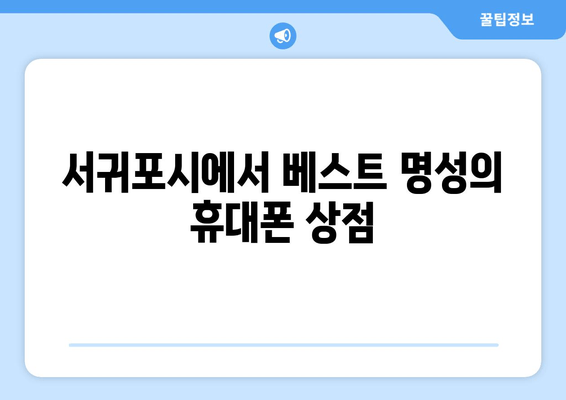 서귀포시에서 베스트 명성의 휴대폰 상점