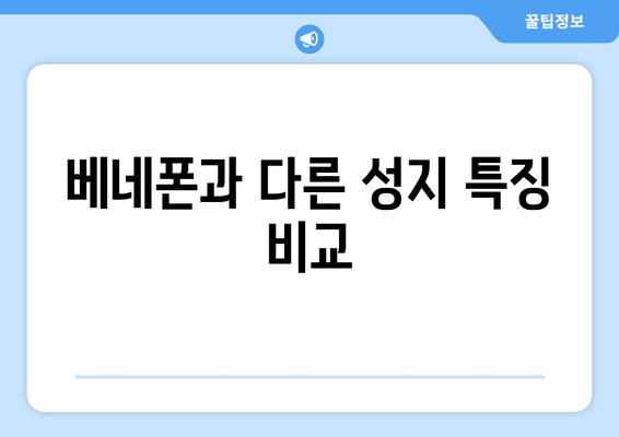 베네폰과 다른 성지 특징 비교