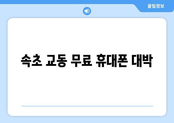 속초 교동 무료 휴대폰 대박