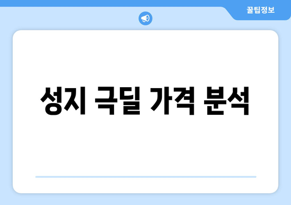 성지 극딜 가격 분석