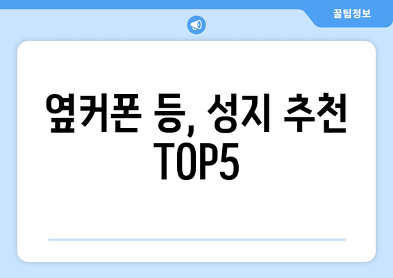 옆커폰 등, 성지 추천 TOP5