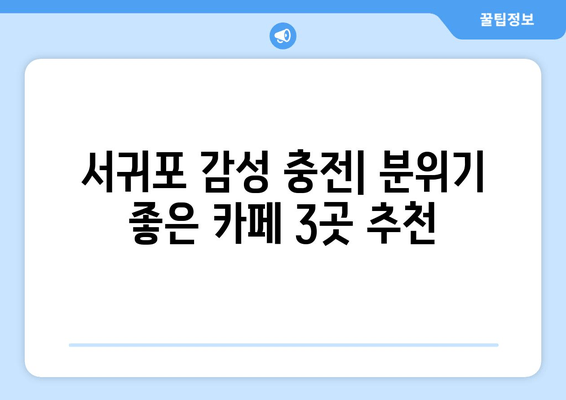 제주 서귀포 스테이위드커피| 숨겨진 보석 같은 카페 3곳 | 서귀포 카페 추천, 분위기 좋은 카페, 커피 맛집