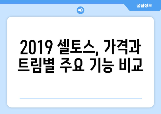 2019 셀토스 완벽 가이드 | 가격, 기능, 모든 핵심 정보