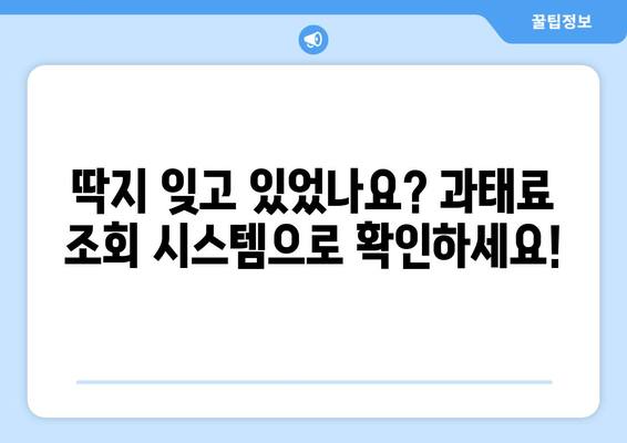 과태료 조회 시스템으로 신호위반 & 속도위반 딱지, 한눈에 확인하세요! | 과태료 조회, 신호위반, 속도위반, 조회 시스템, 위반 조회