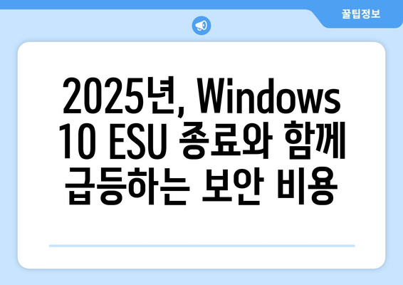 Windows 10 ESU 종료와 가격 변동| 2025년 기업의 대응 전략 | 보안, 비용, 마이그레이션