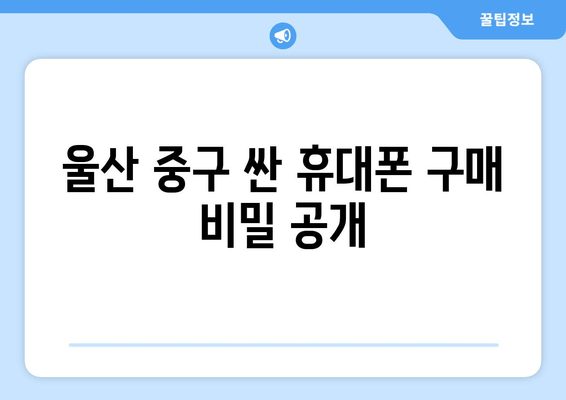 울산 중구 싼 휴대폰 구매 비밀 공개