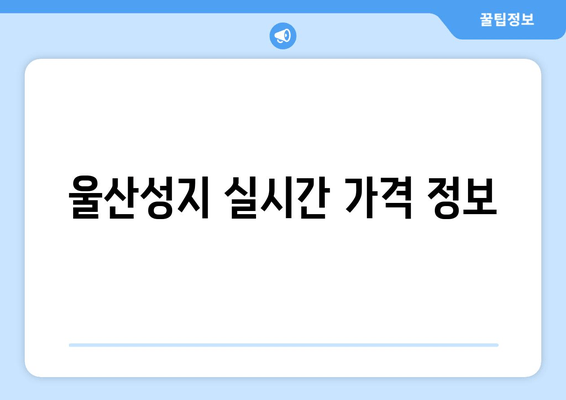 울산성지 실시간 가격 정보