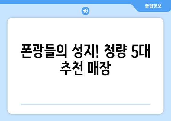 폰광들의 성지! 청량 5대 추천 매장