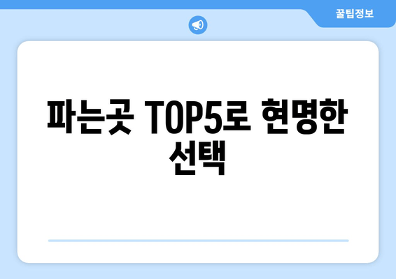 파는곳 TOP5로 현명한 선택