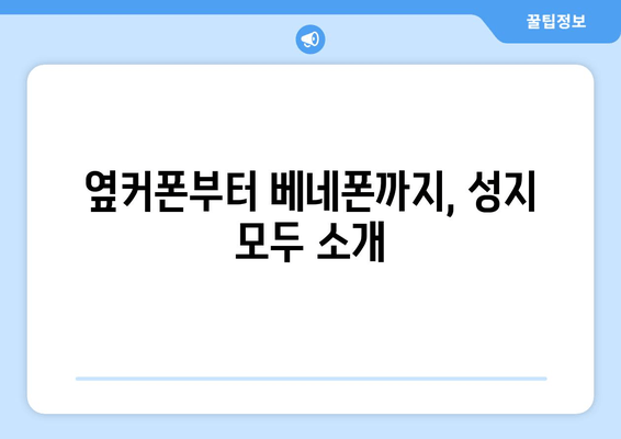 옆커폰부터 베네폰까지, 성지 모두 소개