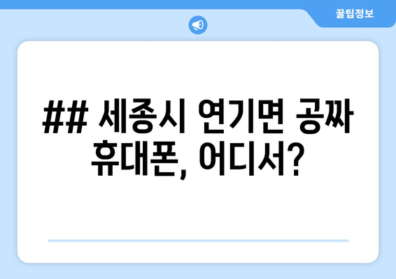 ## 세종시 연기면 공짜 휴대폰, 어디서?