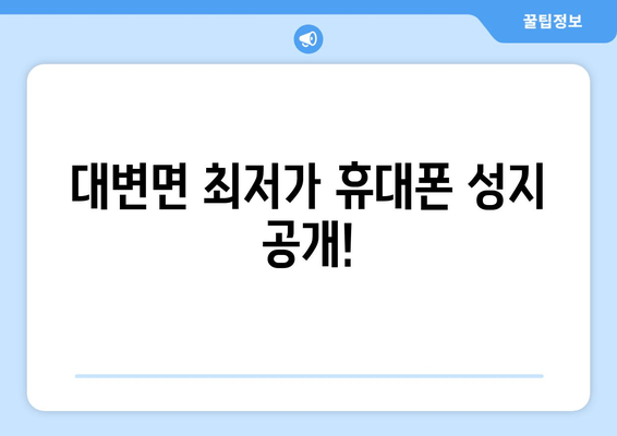 대변면 최저가 휴대폰 성지 공개!