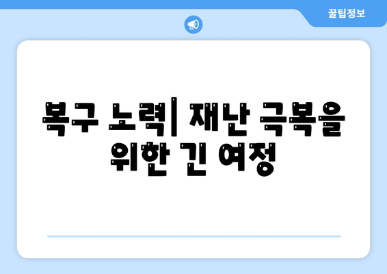 하기비스 태풍, 일본에 극심한 피해 남겨 | 하기비스 피해 현황, 복구 노력, 기후변화