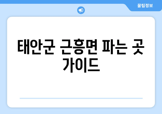 태안군 근흥면 파는 곳 가이드