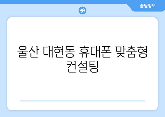 울산 대현동 휴대폰 맞춤형 컨설팅