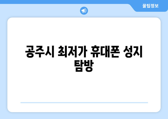 공주시 최저가 휴대폰 성지 탐방