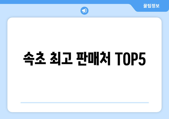 속초 최고 판매처 TOP5