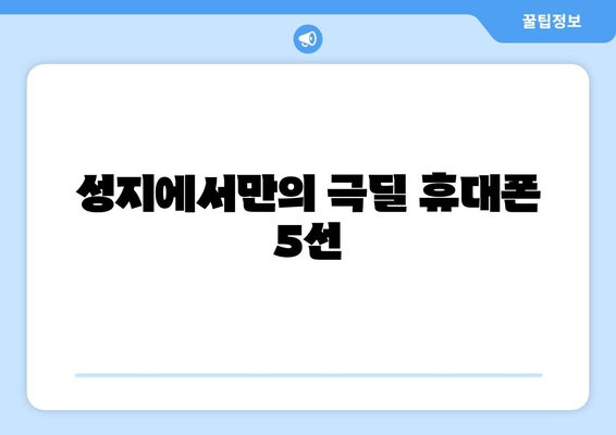 성지에서만의 극딜 휴대폰 5선