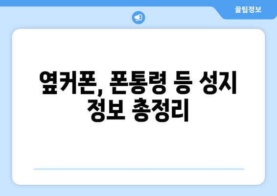 옆커폰, 폰통령 등 성지 정보 총정리