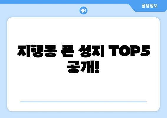 지행동 폰 성지 TOP5 공개!