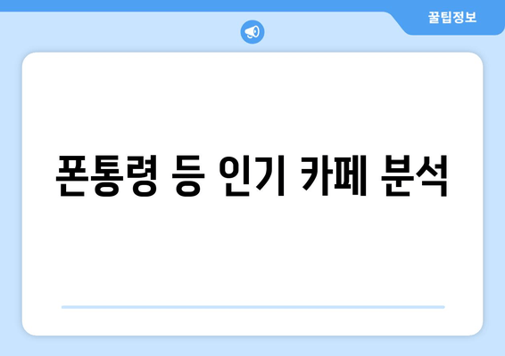 폰통령 등 인기 카페 분석