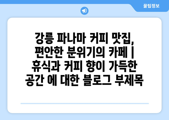 강릉 파나마 커피 맛집, 편안한 분위기의 카페 | 휴식과 커피 향이 가득한 공간