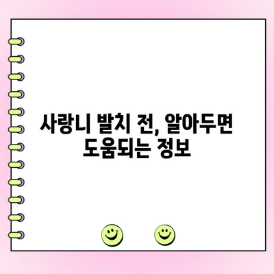 부산 연산동 사랑니 발치, 비용 & 보험 정보| 추천 치과 & 발치 가이드 | 사랑니, 치과 추천, 발치 비용, 보험