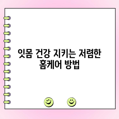 저렴한 치과 청소제 추천| 건강한 치아와 잇몸을 저렴하게 관리하는 방법 | 치아 관리, 잇몸 건강, 홈케어 팁