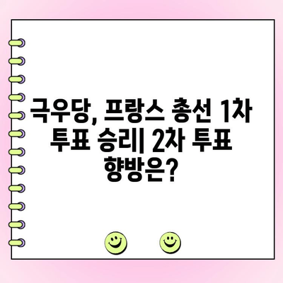 프랑스 총선 1차 투표| 극우당 선두, 2차 투표 향방은? | 프랑스 정치, 마린 르펜, 에마뉘엘 마크롱, 선거 분석