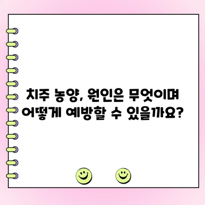 잇몸 질환, 치주 농양으로 악화되는 과정| 원인과 예방법 | 치주염, 잇몸 붓기, 치과 치료