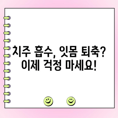 치주 흡수 예방, 잇몸 건강 지키는 5가지 방법 | 치주 질환, 잇몸 퇴축, 치아 건강