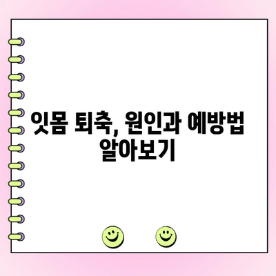 치주 흡수 예방, 잇몸 건강 지키는 5가지 방법 | 치주 질환, 잇몸 퇴축, 치아 건강