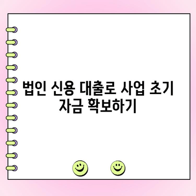 사업 초기 자금 확보, 법인 신용 대출 활용 가이드 | 법인 대출, 초기 사업 자금, 신용 대출, 사업 계획