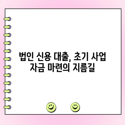 사업 초기 자금 확보, 법인 신용 대출 활용 가이드 | 법인 대출, 초기 사업 자금, 신용 대출, 사업 계획