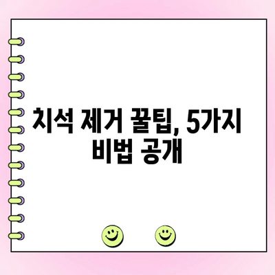 건강한 잇몸을 위한 치석 제거 꿀팁 5가지 | 치석 제거, 잇몸 건강, 치아 관리