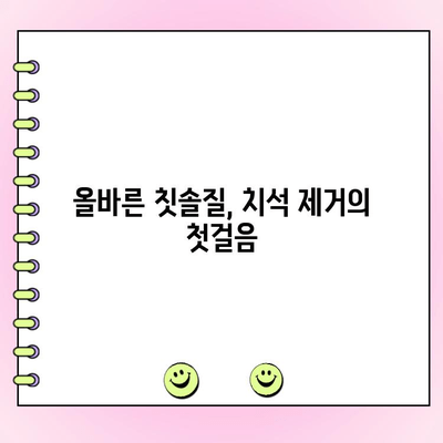 건강한 잇몸을 위한 치석 제거 꿀팁 5가지 | 치석 제거, 잇몸 건강, 치아 관리